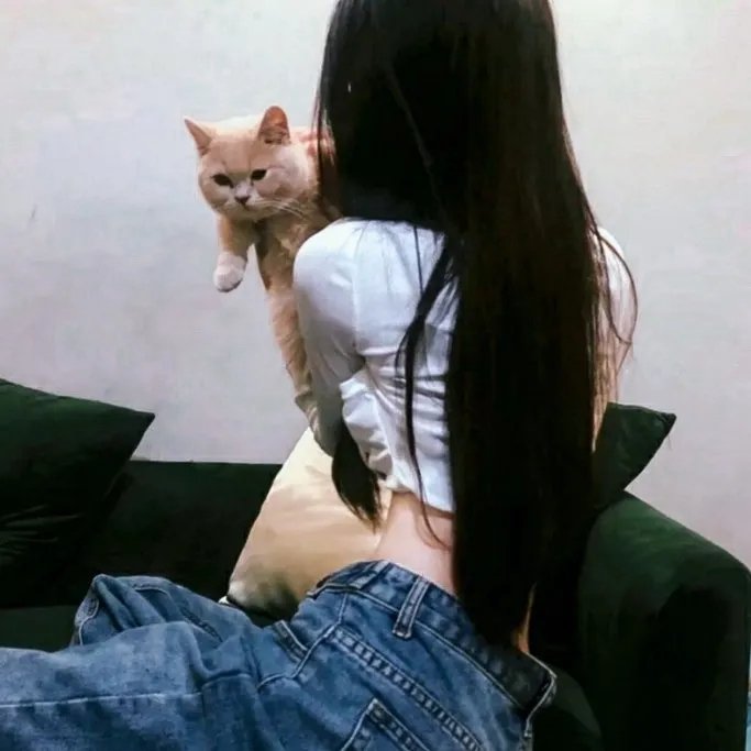 玻璃圈风云