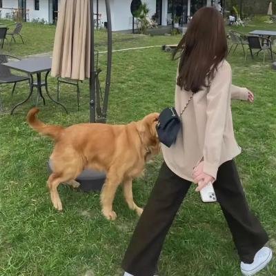 隔壁夫妇第二季